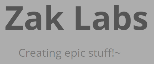 Zak Labs